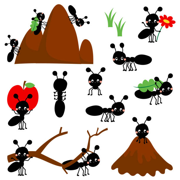 Art & Illustration Cute cartoon ant collection with flowers, leaves and anthill. the ants work. Funny insects, flower buds and foliage pack bundle for spring collections. ants teamwork stock illustrations