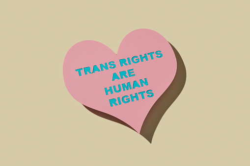 a pink heart-shaped cardboard sign with the text transgender rights are human rights, on a pale yellow background