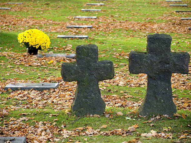 amarelo flores - flanders war grave war memorial imagens e fotografias de stock