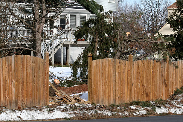 danni da neve - tree removing house damaged foto e immagini stock