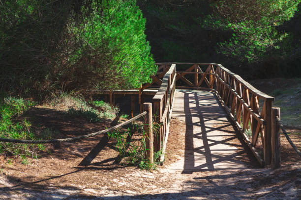 istock Wooden footbridge in nature reserve 1470457601