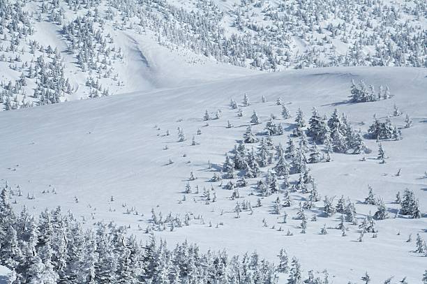 istock Winter Landscape in Japan 147046054