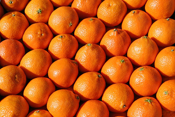 tray of oranges stock photo