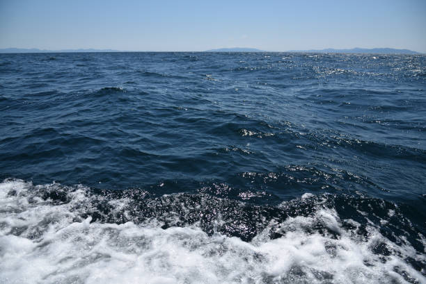istock cruise toward a blue cave, Hakodate, Hokkaido 1470461735