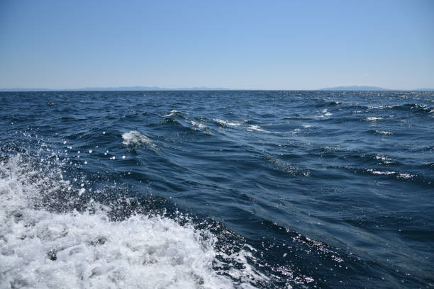 istock cruise toward a blue cave, Hakodate, Hokkaido 1470461755