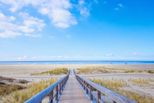Wooden bridge in the dunes to the North Sea with a blue sky in Norddeich at winter,  East Frisia, Lower Saxony, Germany stock photo