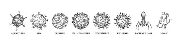 Vector illustration of Viruses with names isolated on white background. Different types of microscopic microorganisms. Vector illustration in sketch style