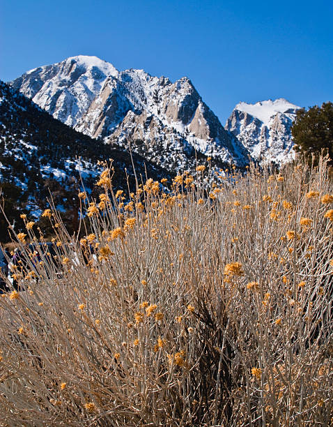 Sierra Nevada, Kalifornia – zdjęcie