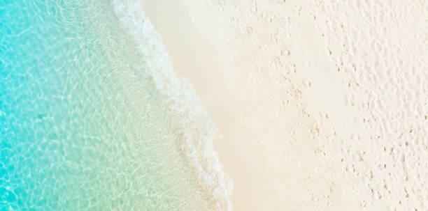 istock The tropical Summer with  Soft blue ocean wave on fine sandy beach  background 1470466491