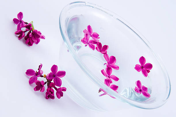 istock Lilac and a bowl of water 147046739