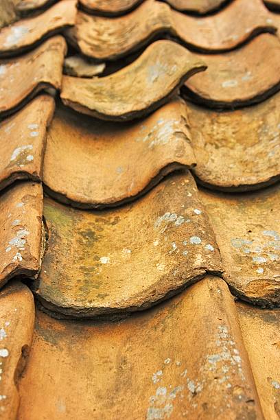 Pantile Roof Tiles stock photo