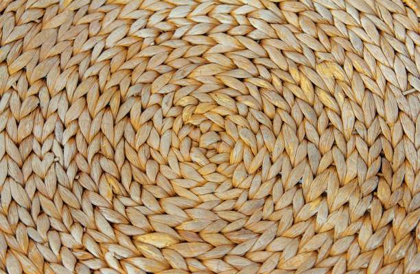 istock Braided surface from stems of dry corn 1470469962