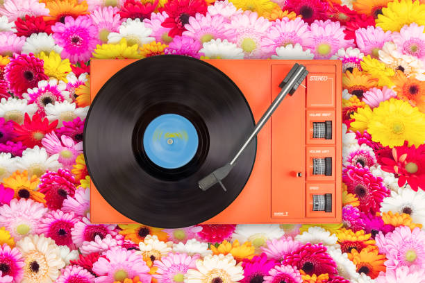 gramofon przed kolorowymi kwitnącymi kwiatami gerbery - 1960s style image created 1960s retro revival photography zdjęcia i obrazy z banku zdjęć