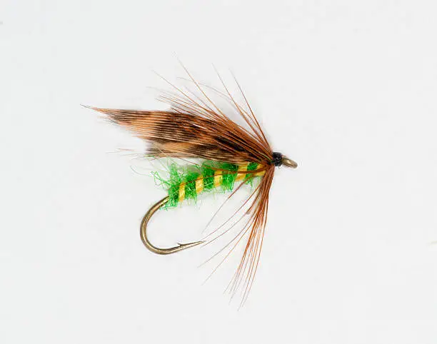 The Seth Green fly was a popular trout fly in the 19th century, especially in the Adirondack Mountains.
