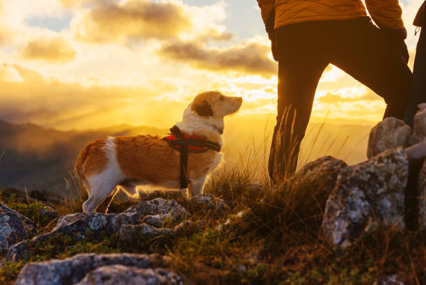 istock outdoor and mountain activities 1470471429