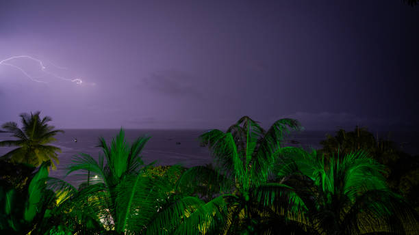istock Night sky lit by lightning from a storm over a beach with tropical palm trees in Costa Rica 1470471621