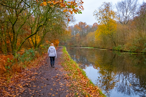 A lone woman on a beautiful walk along the canal path of the Leeds/Liverpool Canal in Lancashire, England, UK on a lovely February morning. The trees and foliage in lovely colour.