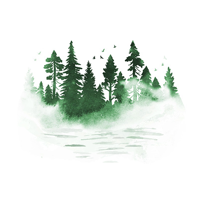 Watercolor foggy coniferous forest with river in green colors. Vector silhouette of trees. Nature hand drawn illustration with splashes