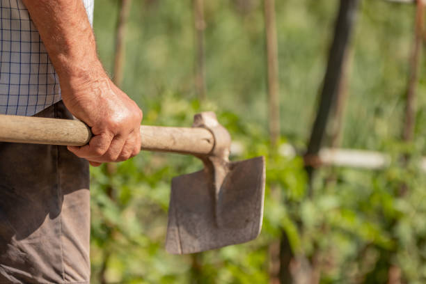 farmer hand with the hoe in the field