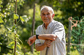 senior man in the orchard