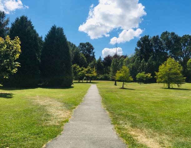 istock Peaceful Moment at Queen Elizabeth Park 1470481665