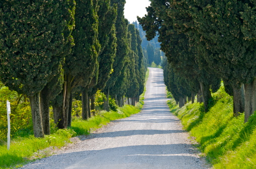 Gravel road lined with trees in Tuscany, Italy