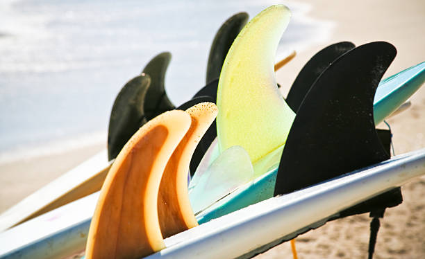 alhetas pranchas de surf na praia de - skeg imagens e fotografias de stock