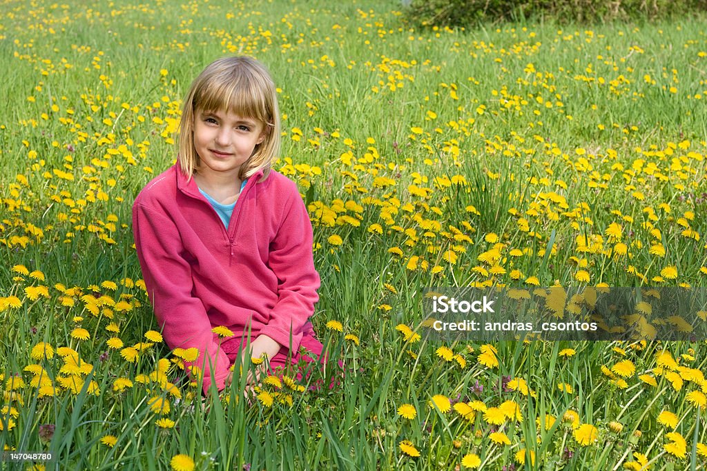 Dandelion girl Nice little girl wearing pink clothes sitting in a dandelion meadow. 8-9 Years Stock Photo