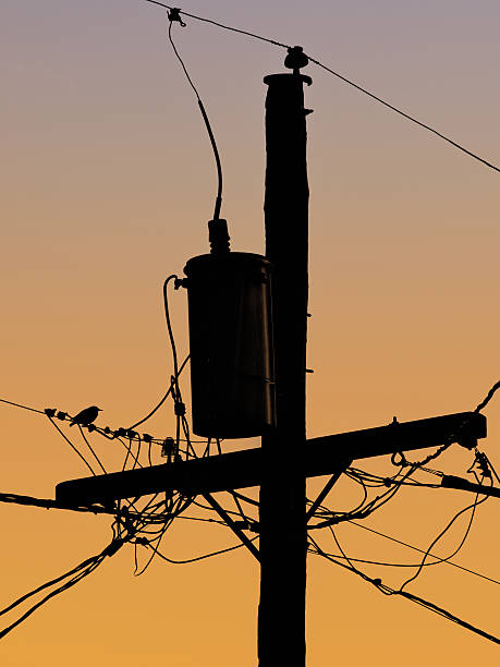 Power Lines Silhouette During Sunset stock photo