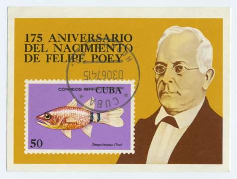 SPAIN - CIRCA 1955: A stamp printed in Spain shows Francisco Franco, circa 1955.