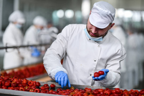 istock Pimento Quality Control By Male Worker In Food Processing Plant 1470493606