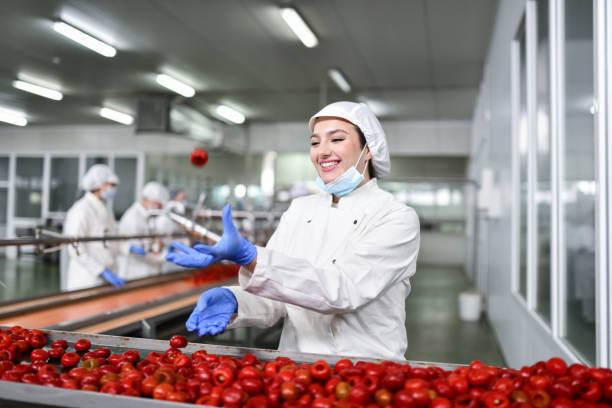 istock Beautiful Female Juggling With Peppers Read For Cottage Cheese Stuffing In Food Processing Plant 1470494502