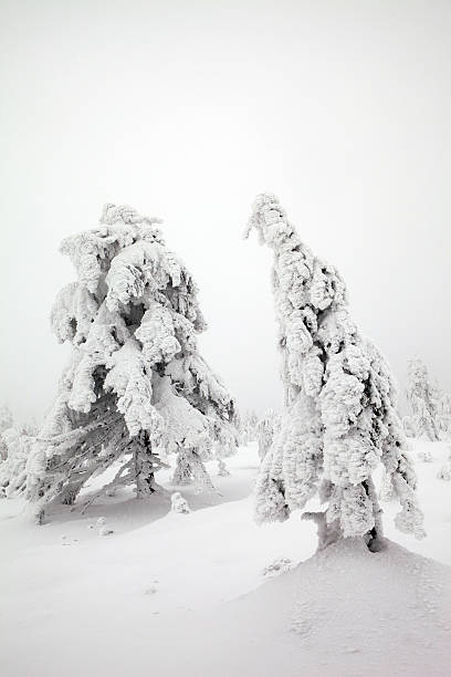 istock winter in the mountains 147049510
