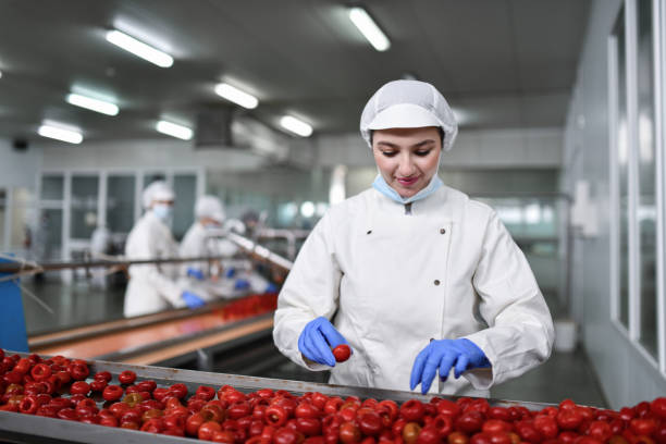 istock Smiling Female Worker In Food Processing Plant Choosing Best Peppers 1470495622