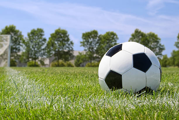 istock Soccer ball in the grass with blue sky 147049709