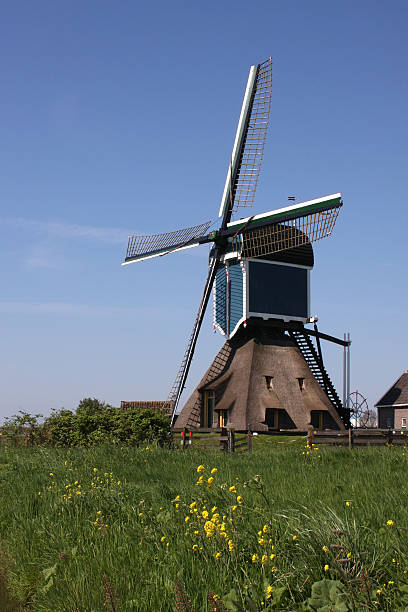 Dutch windmill stock photo