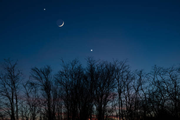 istock Planets in conjunction with young Moon above tree countryside silhouettes. 1470501610