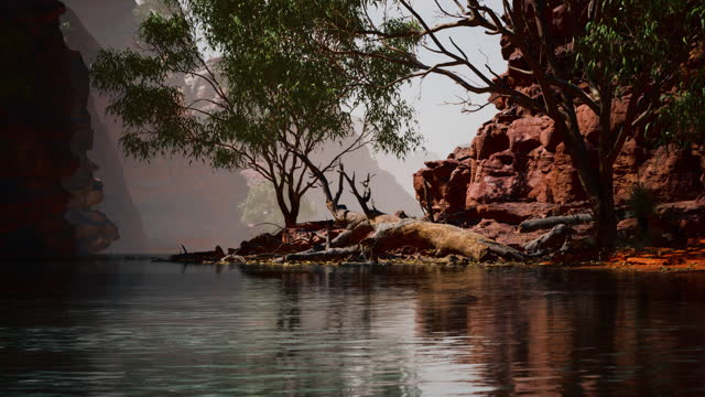 Rocks of Colorado river with trees