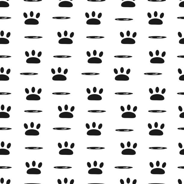 Animal paw seamless pattern in black color on a white background. Animal paw seamless pattern in black color on a white background. running board stock illustrations