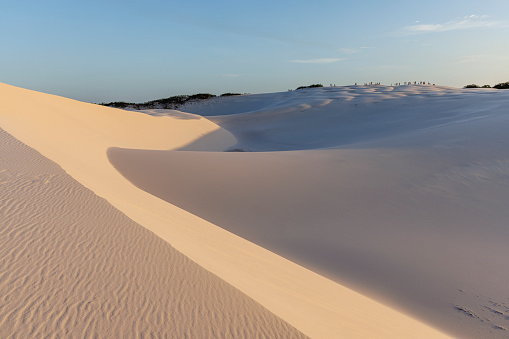 Juruvauva Dunes in Ilha Comprida on the south coast of the state of São Paulo in Brazil