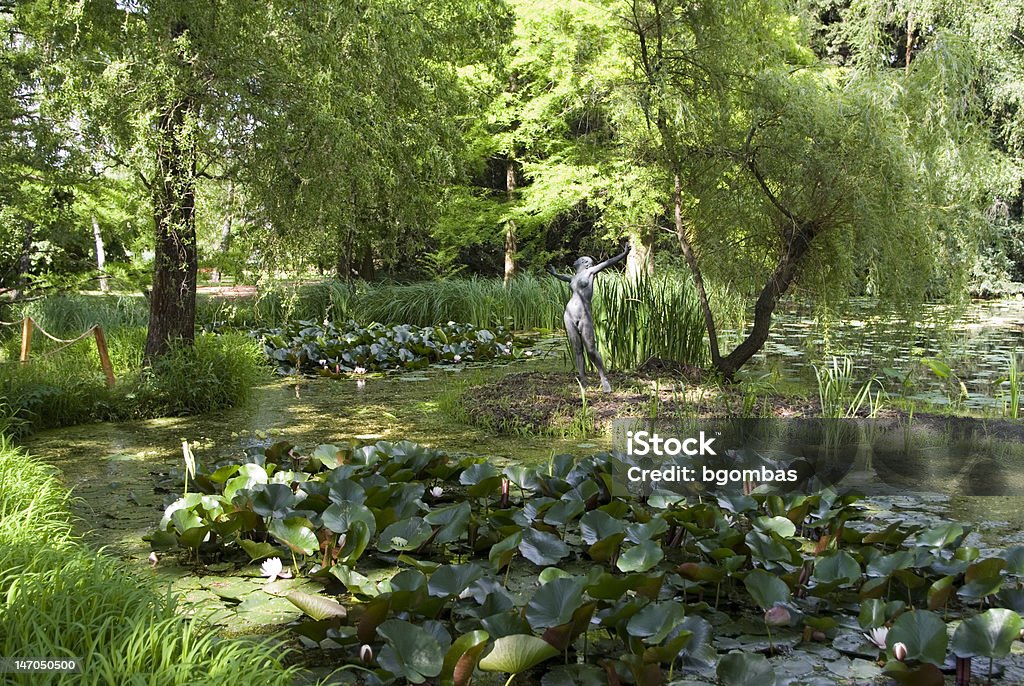 Szeged Botanischen Garten Lake - Lizenzfrei Szeged Stock-Foto