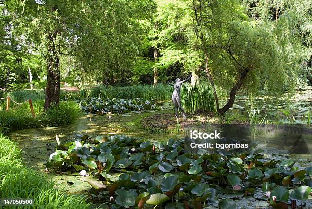 Szeged Botanischen Garten Lake Stockfoto und mehr Bilder von Szeged - Szeged, Ungarn, Botanischer Garten