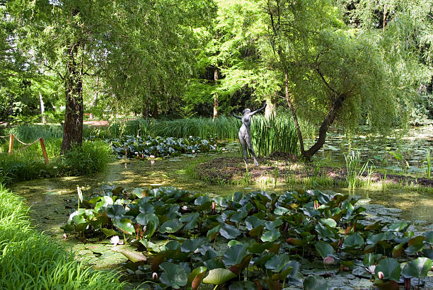 Szeged Botanical Garden Lake stock photo