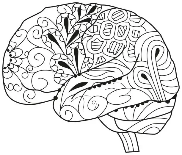 Vector illustration of Brain image in   style for coloring