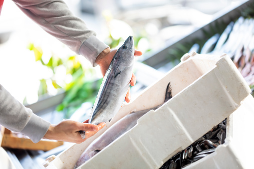 Staff of seafood produstion in coveralls looking at fresh mackerel in plastic box