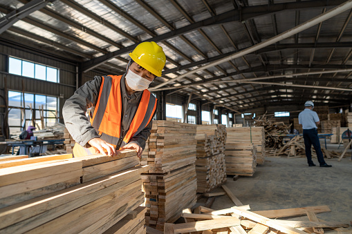 A female worker is checking the specifications of processed wood