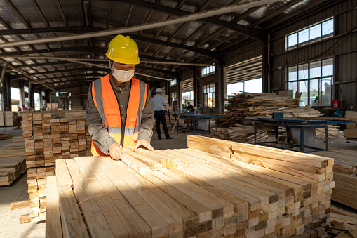 A female worker is checking the specifications of processed wood