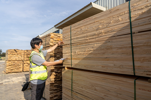 A male worker is checking the quality of processed wood