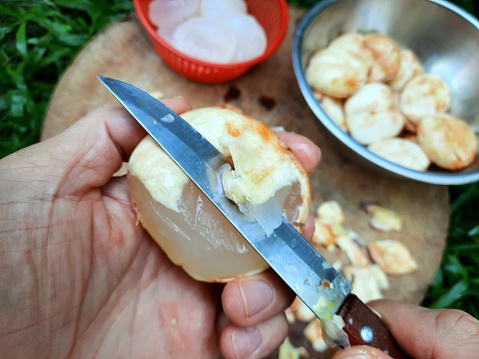 Peeling and cutting Toddy Palm fruits - food preparation.