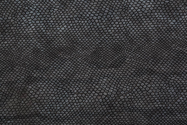 black snake skin texture for background